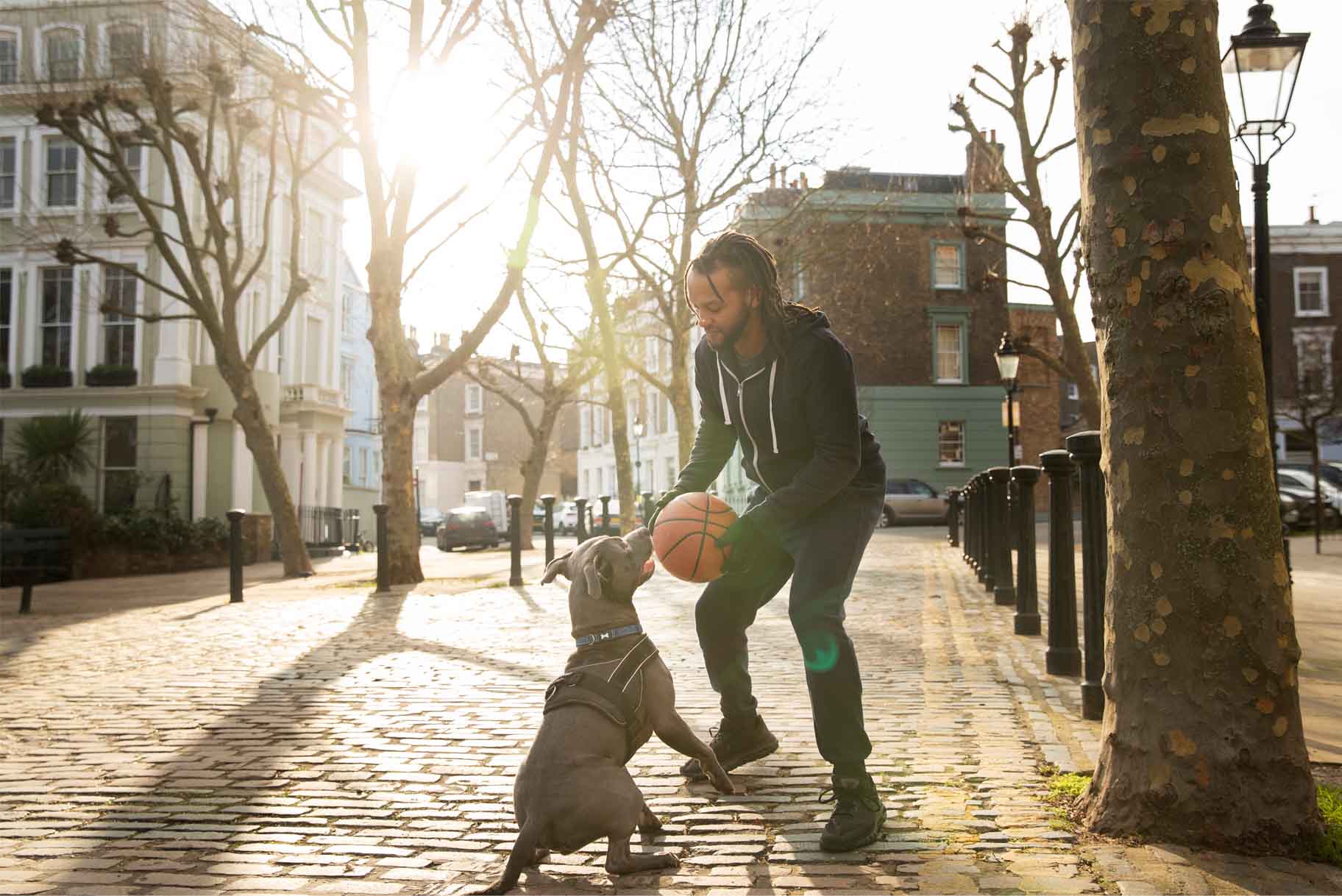 Voyager avec son Chien Quelles Compagnies Aériennes Acceptent les