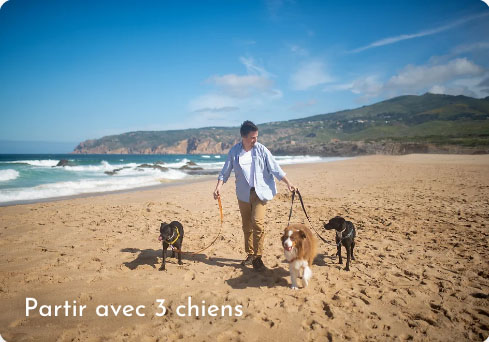 Location de Vacances avec Animaux : Conseils pour des Vacances Parfaites