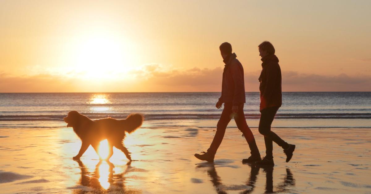 Partir en vacances en Corse avec son chien