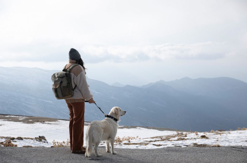 Les meilleurs spots en montagnes avec son chien